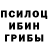 Псилоцибиновые грибы прущие грибы TacticalRab
